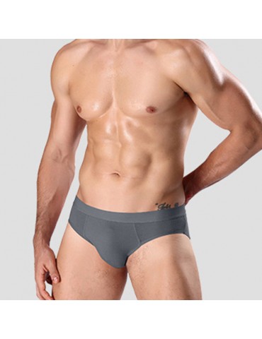 Mesh Breathable Modal Soft Briefs for Men