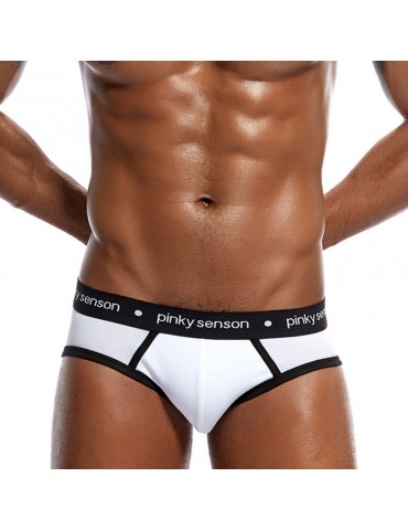 Spell Color Low Waist Cotton Printing Waistband Breathable Briefs for Men