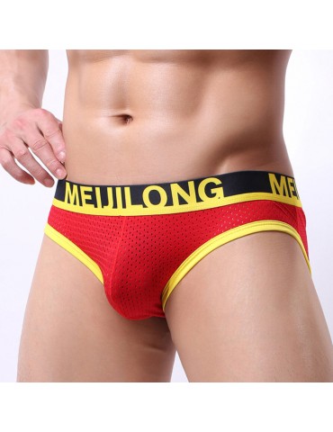 Mesh Ice Silk Breathable Low Waist Sexy Briefs for Men